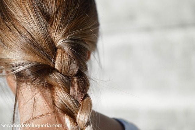 Trensa de Cabello con Horquetillas